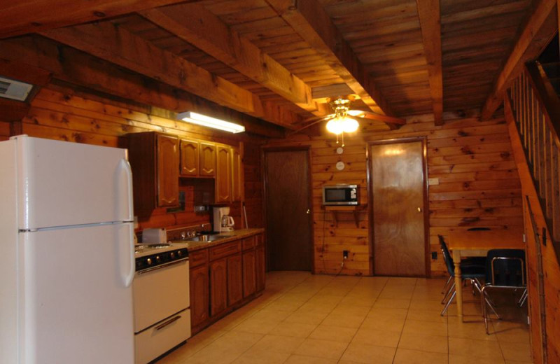 Cabin kitchen at The Depe Dene Resort.