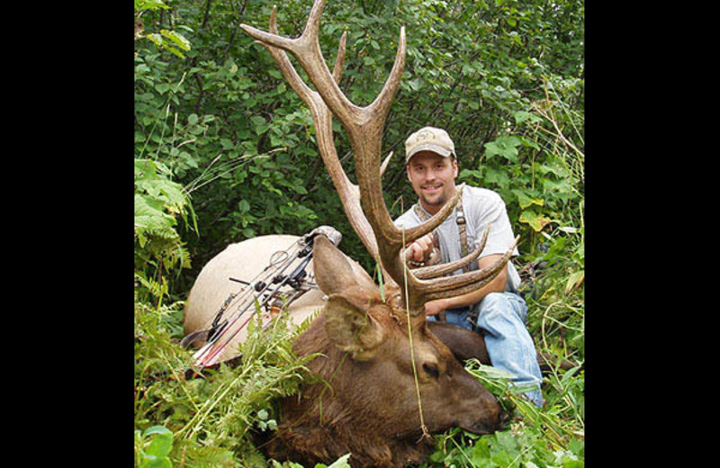 Elk hunting at Diamond R Ranch.