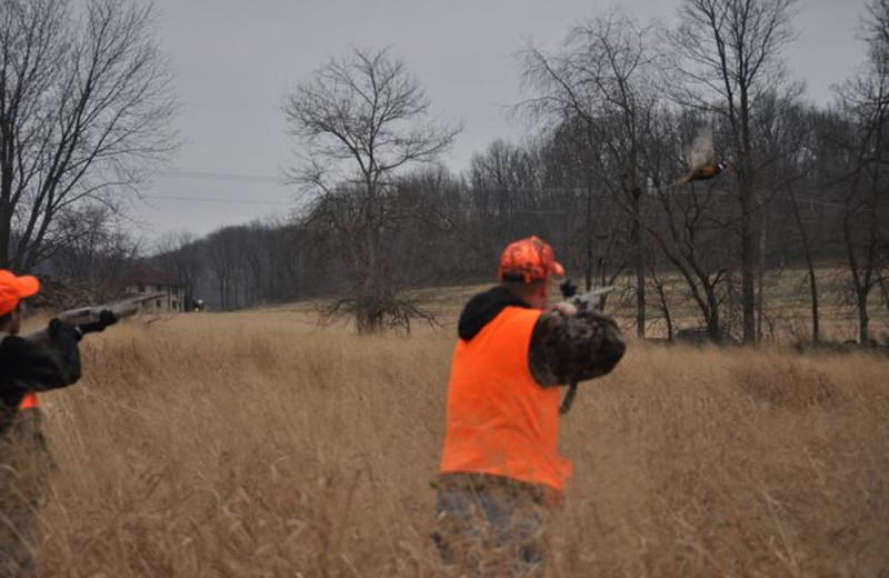 Hunting at Cedar Valley Lodge & Hunting.