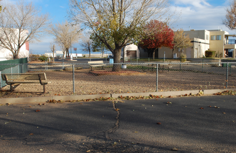 Exterior view of dog park at American RV Park.