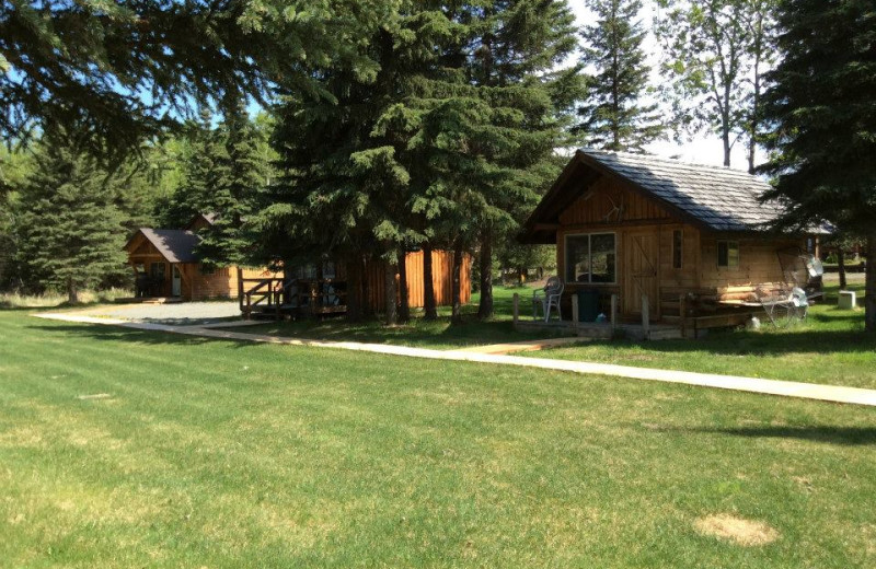 Exterior view of Alaska Cozy Cabins.
