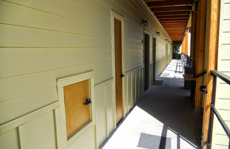 Exterior view of Vagabond Lodge.
