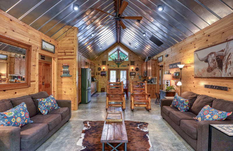 Rental living room at Log Country Cove.