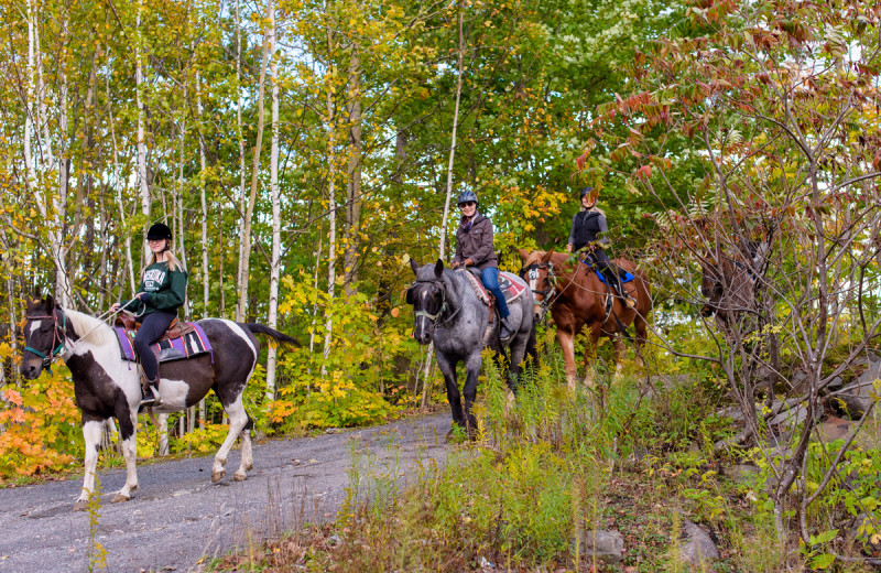 Horseback riding at Deerhurst Resort.