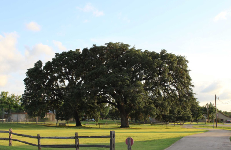 Grounds at Flying L Hill Country Resort & Conference Center.