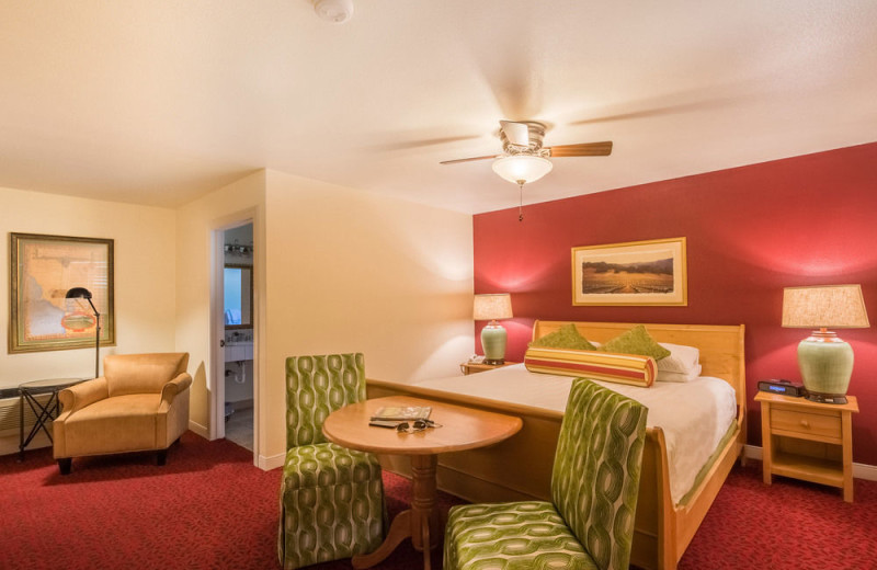Guest room at EuroSpa & Inn.