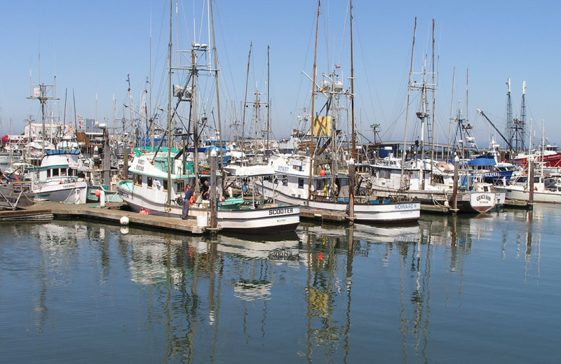 Fishing boats near Grays Harbor Inn & Suites.