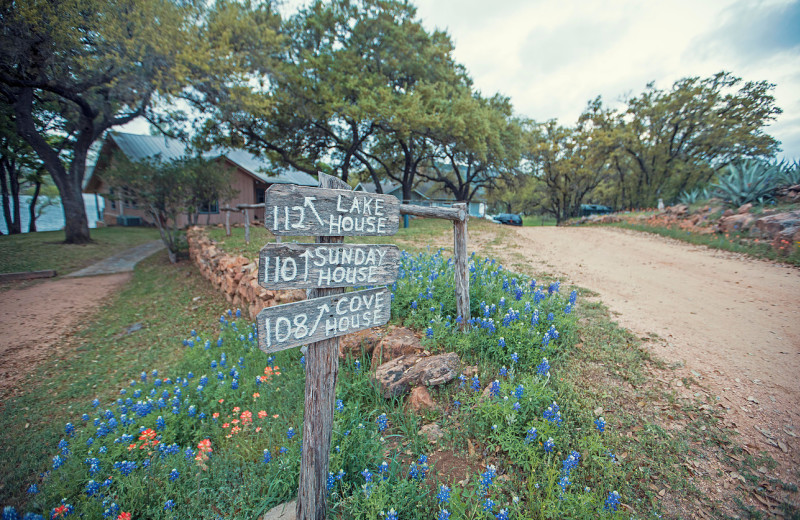 Cabins at Cockleburr Cove.