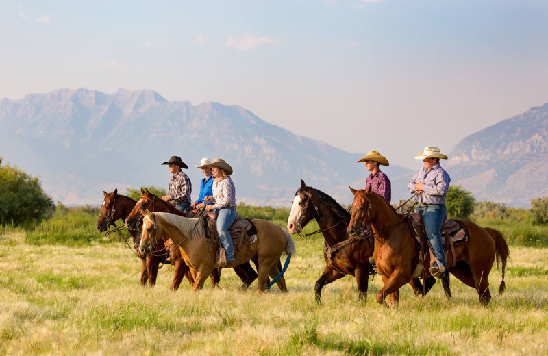 Horseback riding at 320 Guest Ranch.