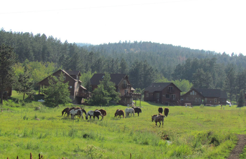 Exterior view of High Country Guest Ranch.