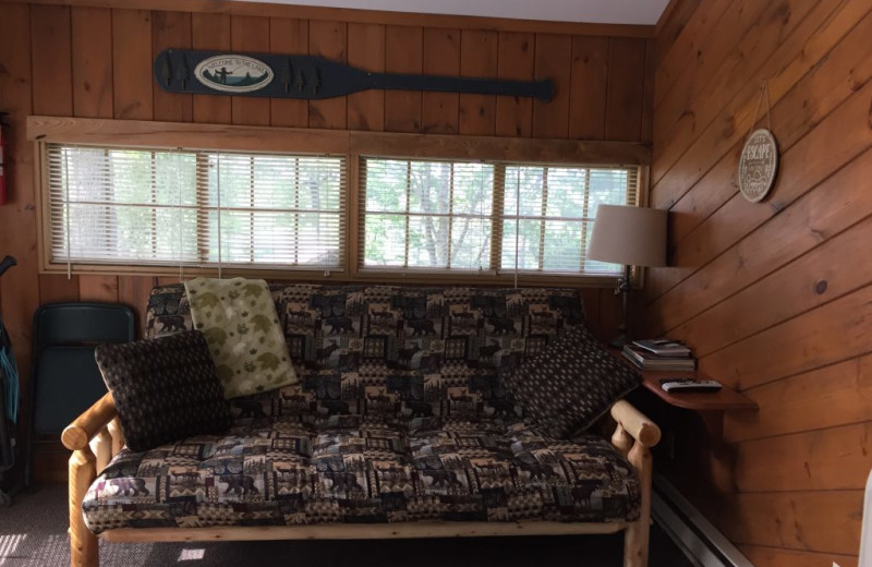 Cabin living room at Blackduck Lodge & Resort.