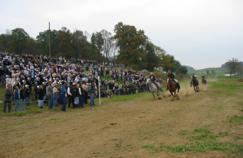 Rodeo at Guggisberg Swiss Inn/Amish Country Riding Stables.