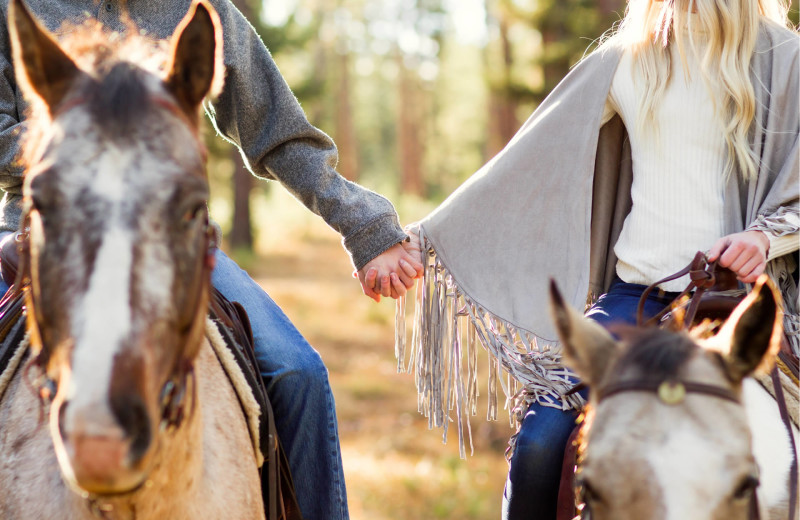 Couple holding hands on horseback at The Green O.
