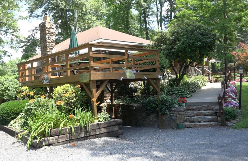 Exterior view of Yogi at Shangri-La - Jellystone Park.