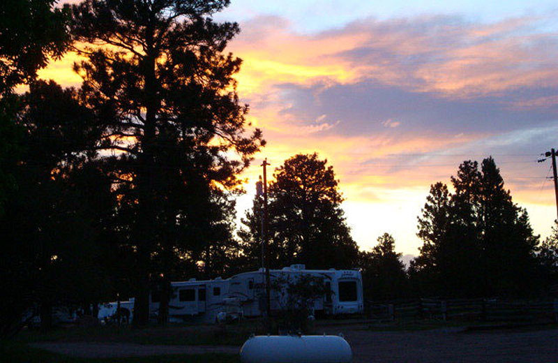 RV park at Flaming Gorge Lodge.