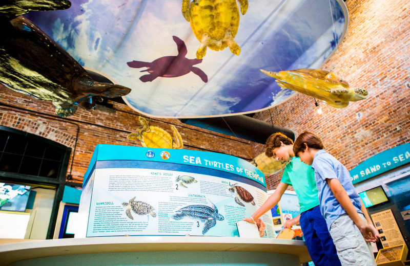 Aquarium near Westin Jekyll Island.