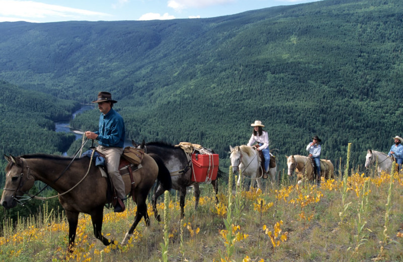 Horseback riding at realTopia Vacation Rentals.