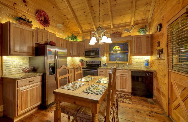 Rental kitchen at Blue Sky Cabin Rentals.