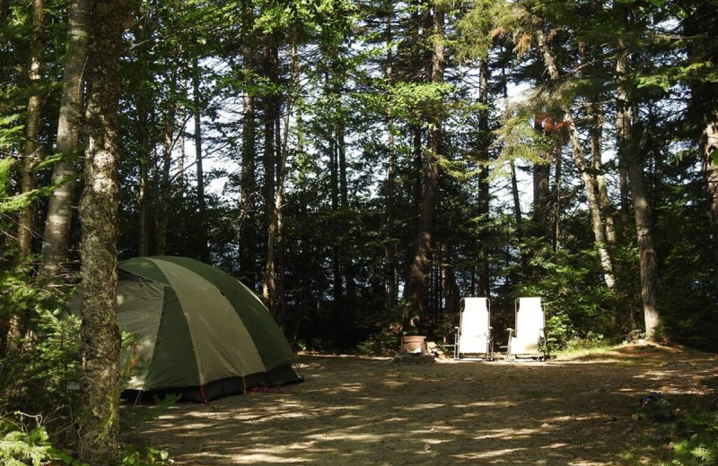 Campsite at Frost Pond Camps.