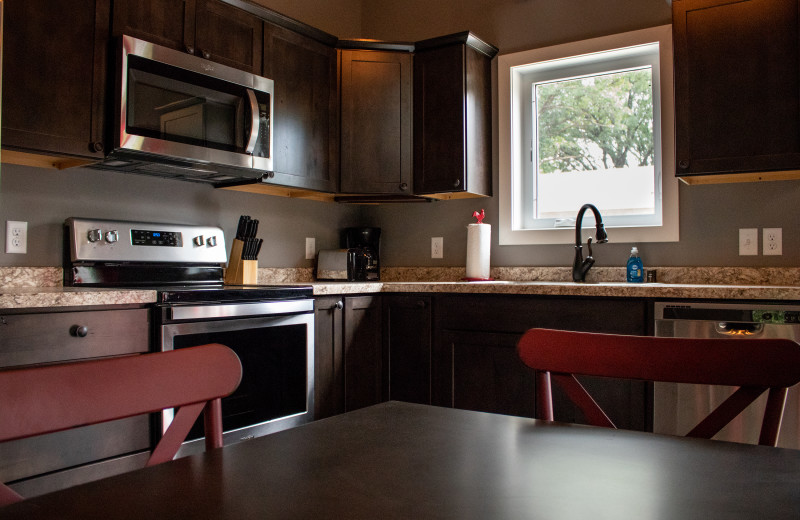 Cabin kitchen at Holly's Resort.