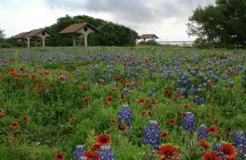 Park near The Lighthouse Inn at Aransas Bay.