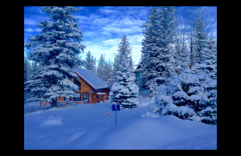 Winter view of Gingerbread Cabin.