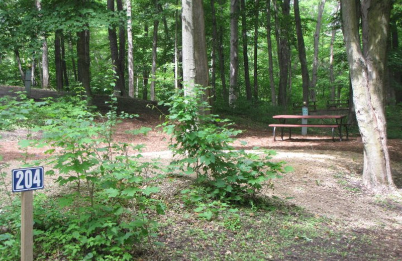 Campsite at Merry Mac's Campground