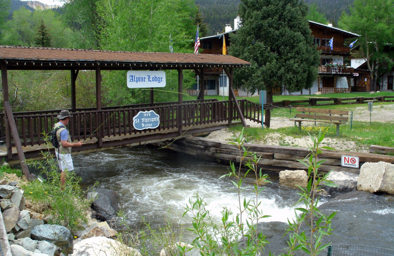 Fishing at Alpine Lodge.