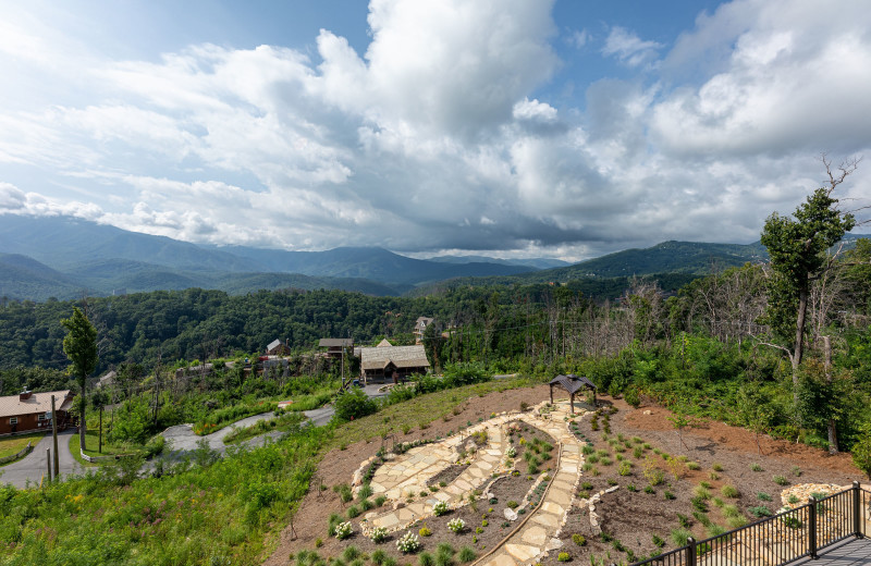 Garden at American Patriot Getaways - Mountain Celebration!