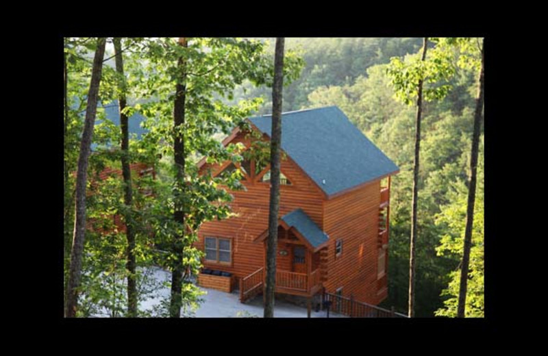 Pigeon Forge Vacation Rentals Cabin Rocky Top Escape 3