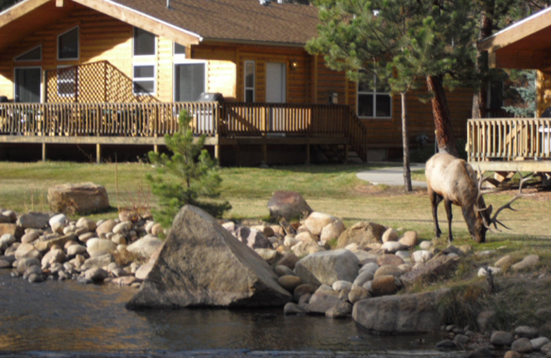 Exterior view of Riverview Pines.