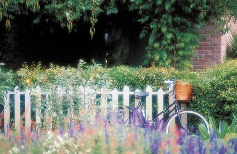 Garden view at Vintage Inn.