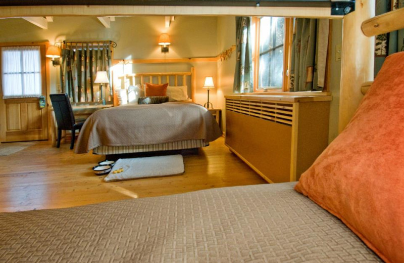 Bring your furry friend at Sleeping Lady.