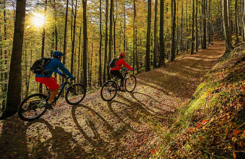 Biking at Wilderness Resort Cabins & Campground.