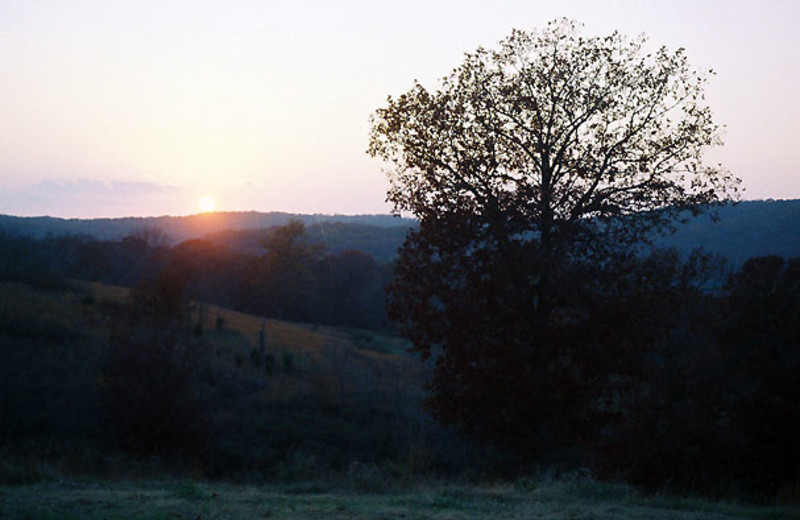 Grounds at Stone Wind Retreat.