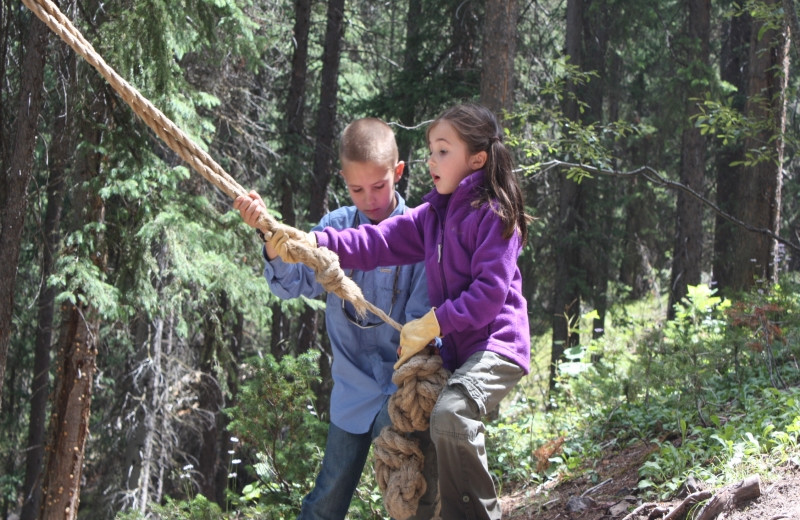 Rope swing at Medicine Bow Lodge.