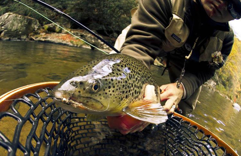 Fishing at Nevaeh Cabin Rentals.