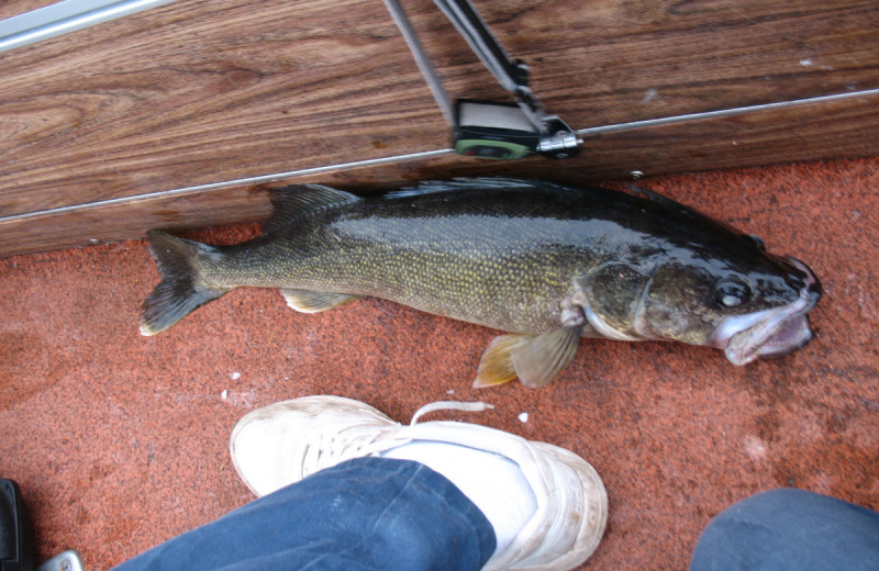 Fishing at Dogtooth Lake Resort.