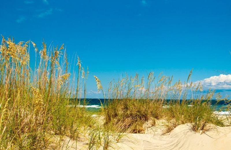 Beach View at Hatteras Realty 