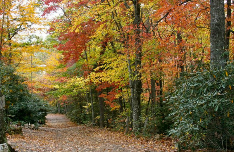 Fall at Clear Creek Guest Ranch