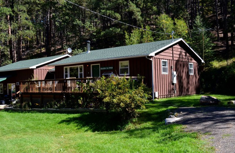 Cabin exterior at Backroads Inn and Cabins.