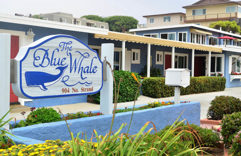 Exterior view of Blue Whale.