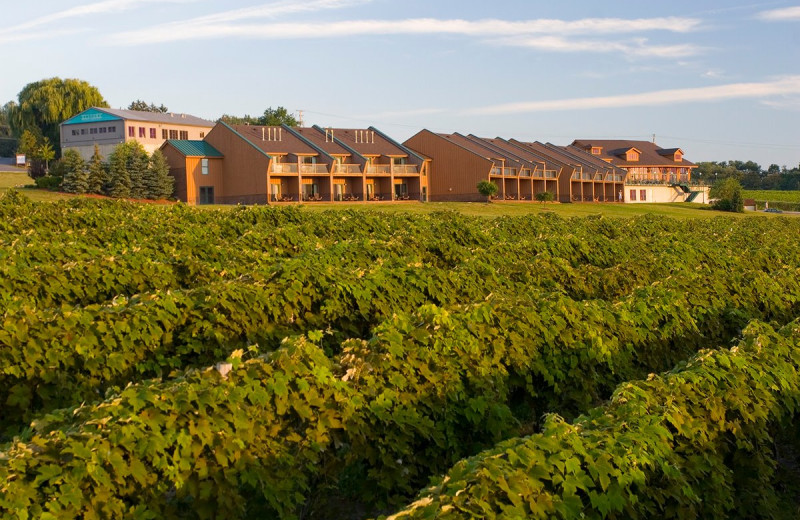 Exterior view of Inn at Glenora Wine Cellars.