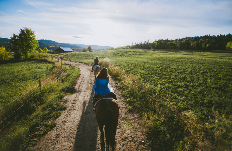 Horse back riding at Spring Lake Ranch.