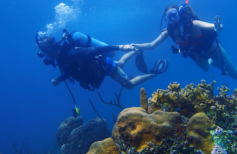 Diving at Bluefields Bay Villas.