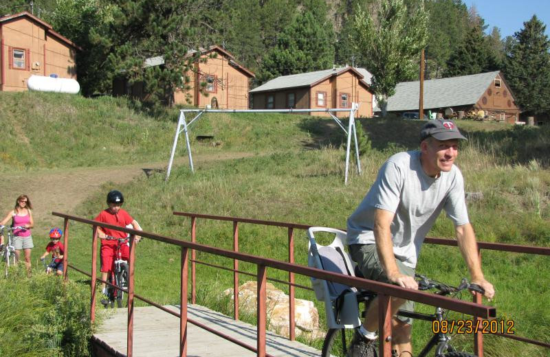 Biking at Black Hills Cabins & Motel at Quail's Crossing.