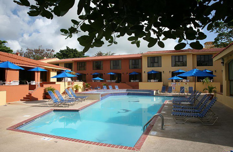 Dolphin Pool at Club Cala de Palmas