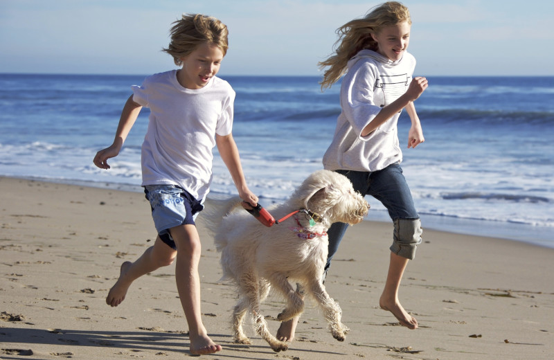 Kids and dog on beach at Vacation Villages Of America.