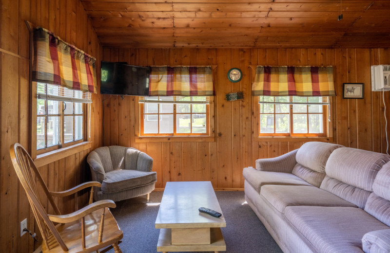 Cabin living room at Rising Eagle Resort.