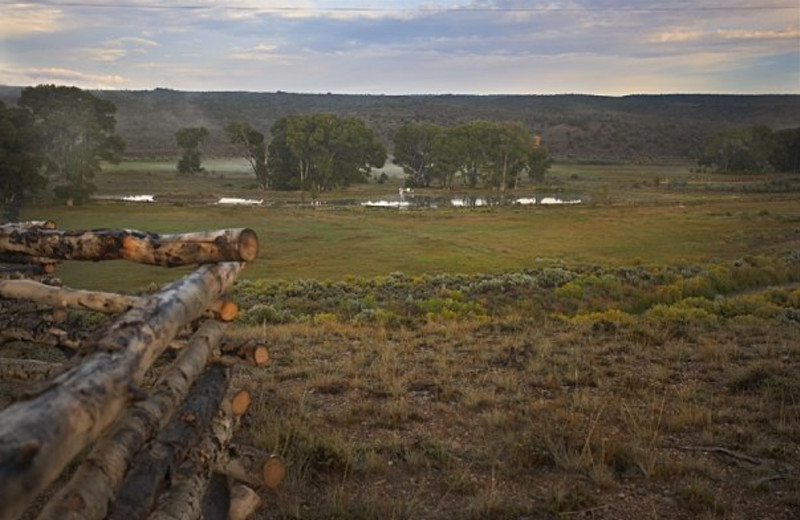 Landscape view at Cottonwood Meadow Lodge.